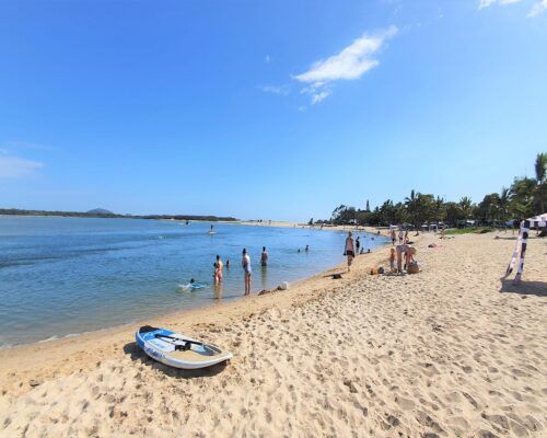 maroochydore-cotton-tree-(1)