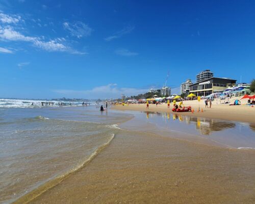 maroochydore-cotton-tree-(12)