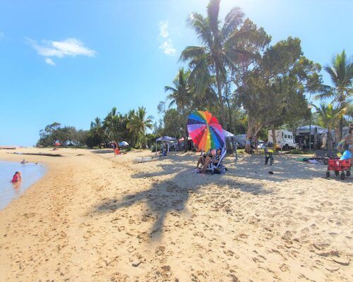 maroochydore-cotton-tree-(2)