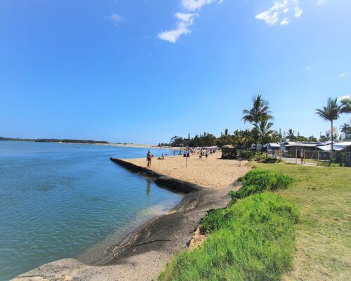 maroochydore-cotton-tree-(27)