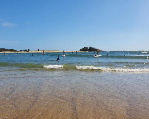 maroochydore-cotton-tree-(8)